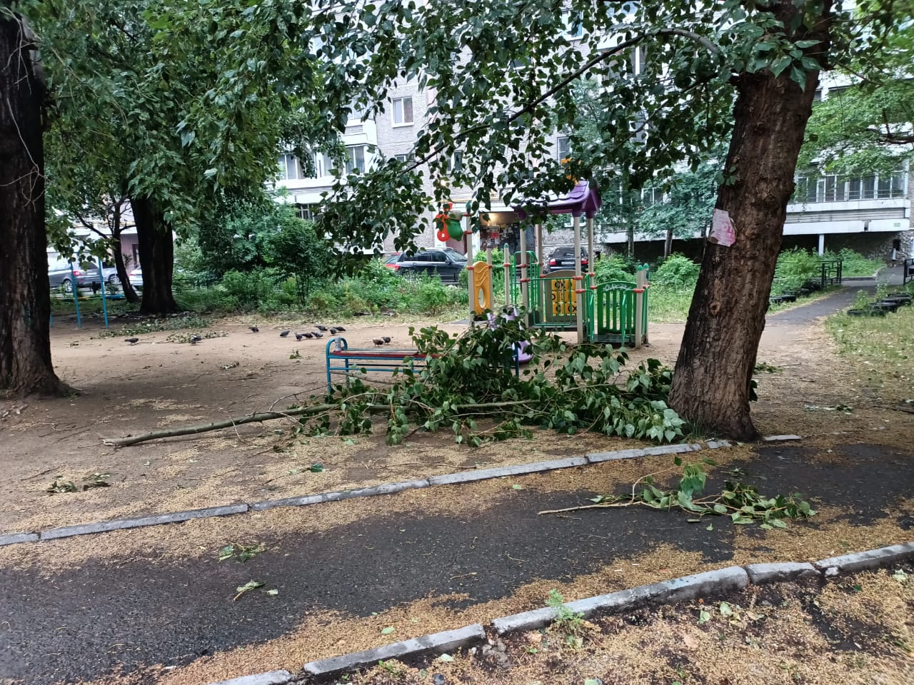 Фоторепортаж: последствия ночного урагана в Екатеринбурге - «Уральский  рабочий»